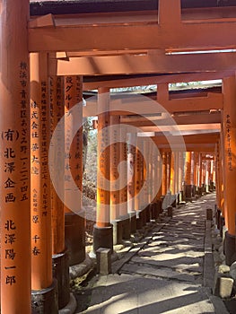 Fushimi Inari-Taisha - Red Shrine in Kyoto, Japan photo